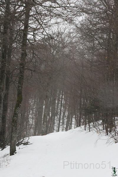 Rotation de IMG_1629_GF.jpg